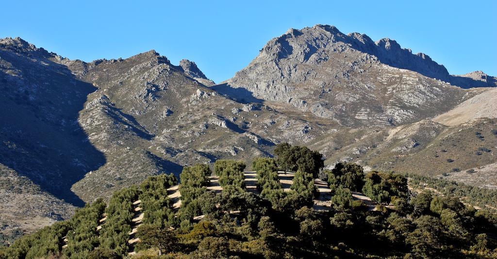 Huerta De Las Palomas Priego de Córdoba Exteriér fotografie